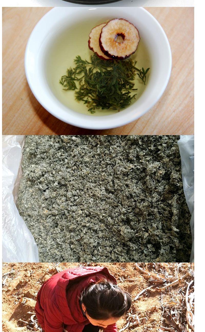 三月茵陳茶茵陳草茶葉白蒿茶新鮮炒曬乾綿茵陳蒿湯泡茶【圖片 價格