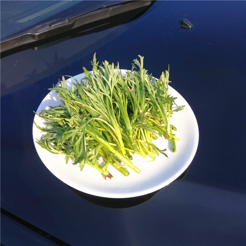 恬女神东北柳蒿芽新鲜水蒿蘸酱菜发货净重1斤