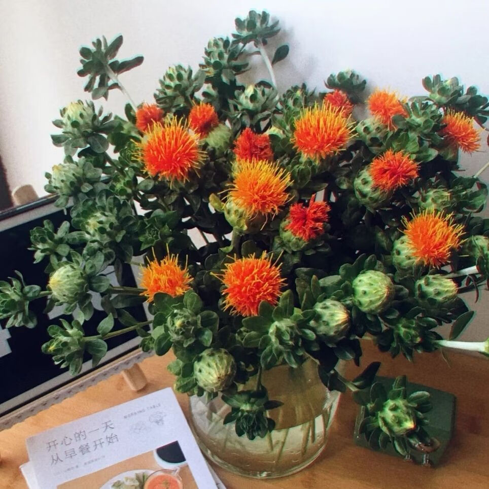 橙菠萝菊鲜花真花ins简约天然干花干燥花橙菠萝插花搭配家居装饰 橙