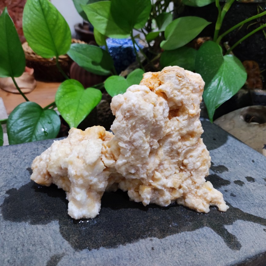 135g长白山石太岁肉灵芝活体太岁溶洞天然野生石太岁泡水整体太岁