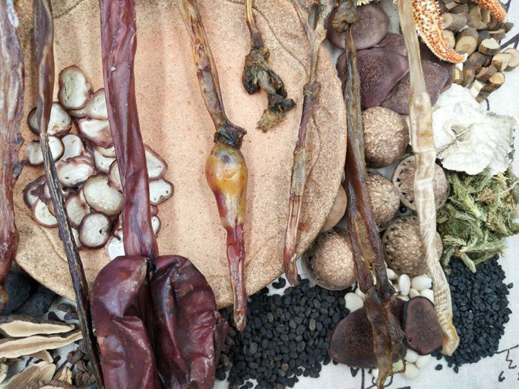 【加长5-10】10动物鞭泡酒料泡酒药材男性滋补保健养生鹿鞭泡酒料