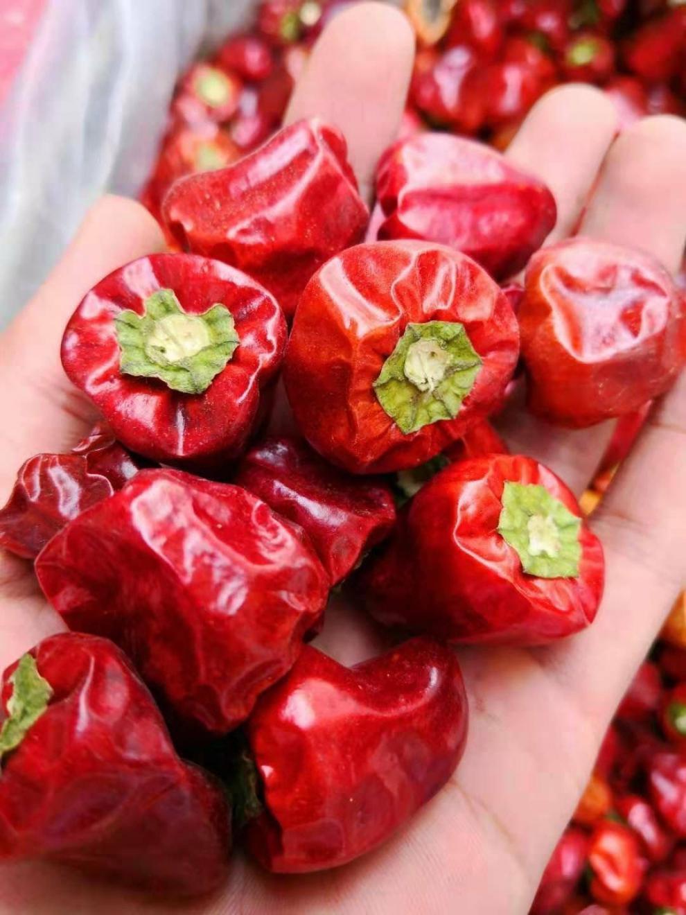 精品干辣椒特香灯笼椒干锅椒火锅小尖椒朝天椒农家超辣辣椒中辣特香