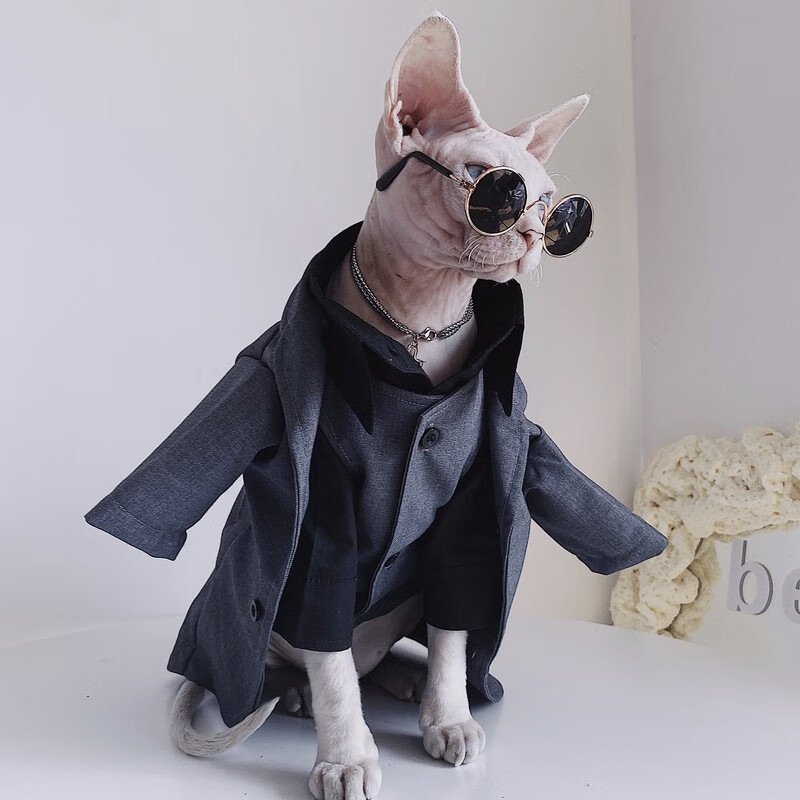 无毛猫衣服斯芬克斯猫德文秋冬英伦风礼服结婚西装衬衫套装宠物 黑色