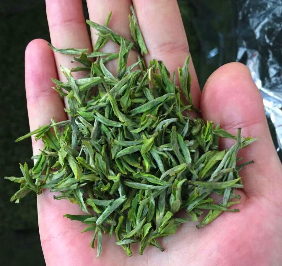 2021新茶明前头采霍山黄芽250g