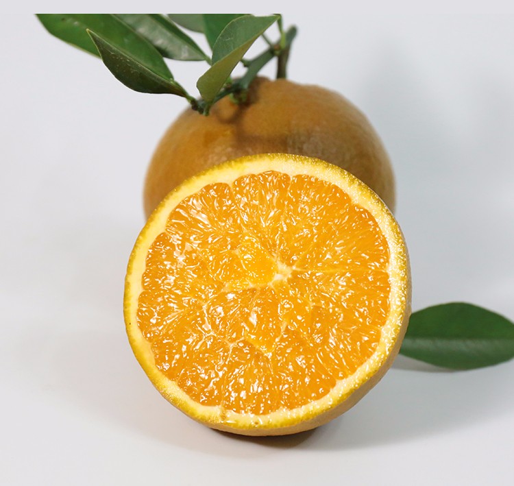 稀有新品种 高端橙子 黑美人棕橙巧克力橙子 农家自种 现摘当季新鲜