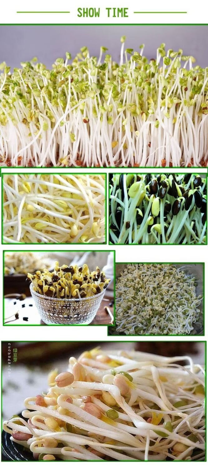 豆芽罐塑料麦饭石滤水家用豆芽机豆芽菜种植桶发黄豆绿豆芽种植盆 大