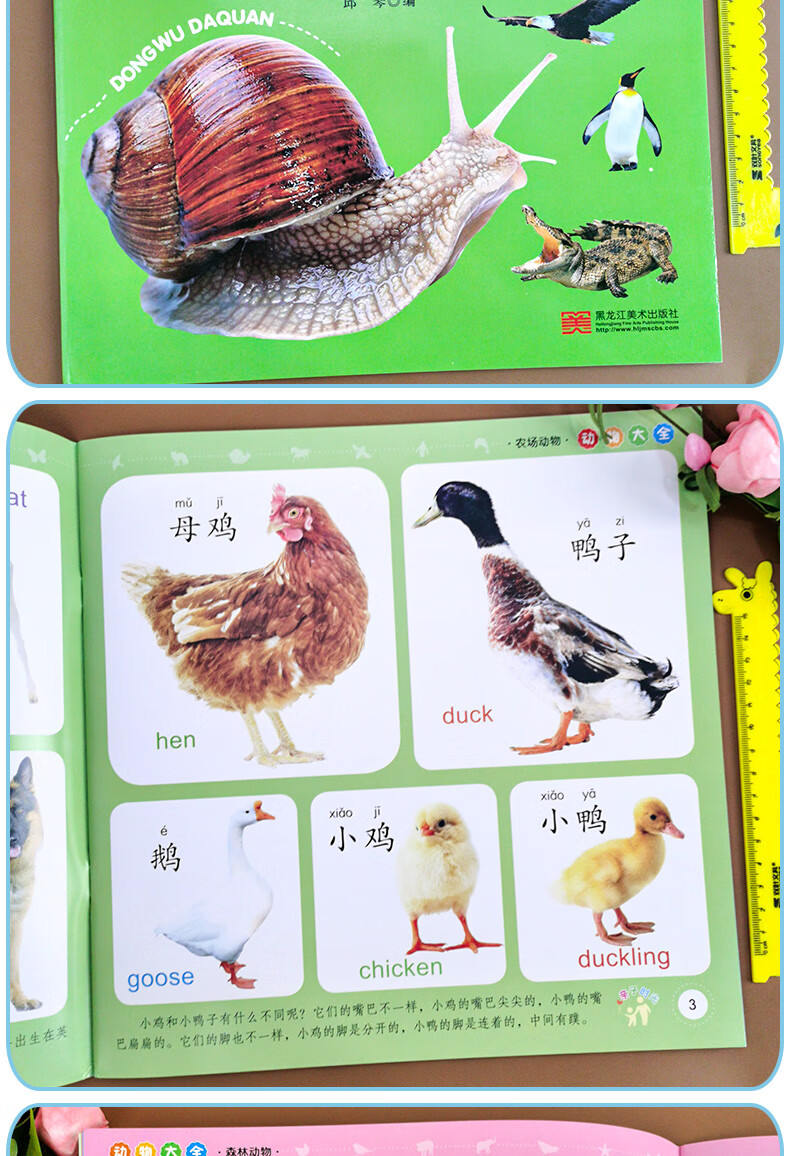 小衔接早教书快速认识动物宝宝看图识物早教学前启蒙幼儿早教书左右脑