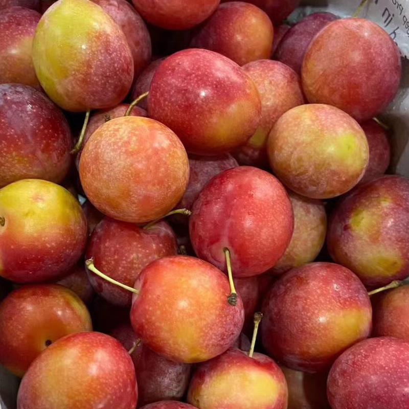 澳洲樱桃李4斤礼盒装西梅新鲜时令水果孕妇李子44规格1斤