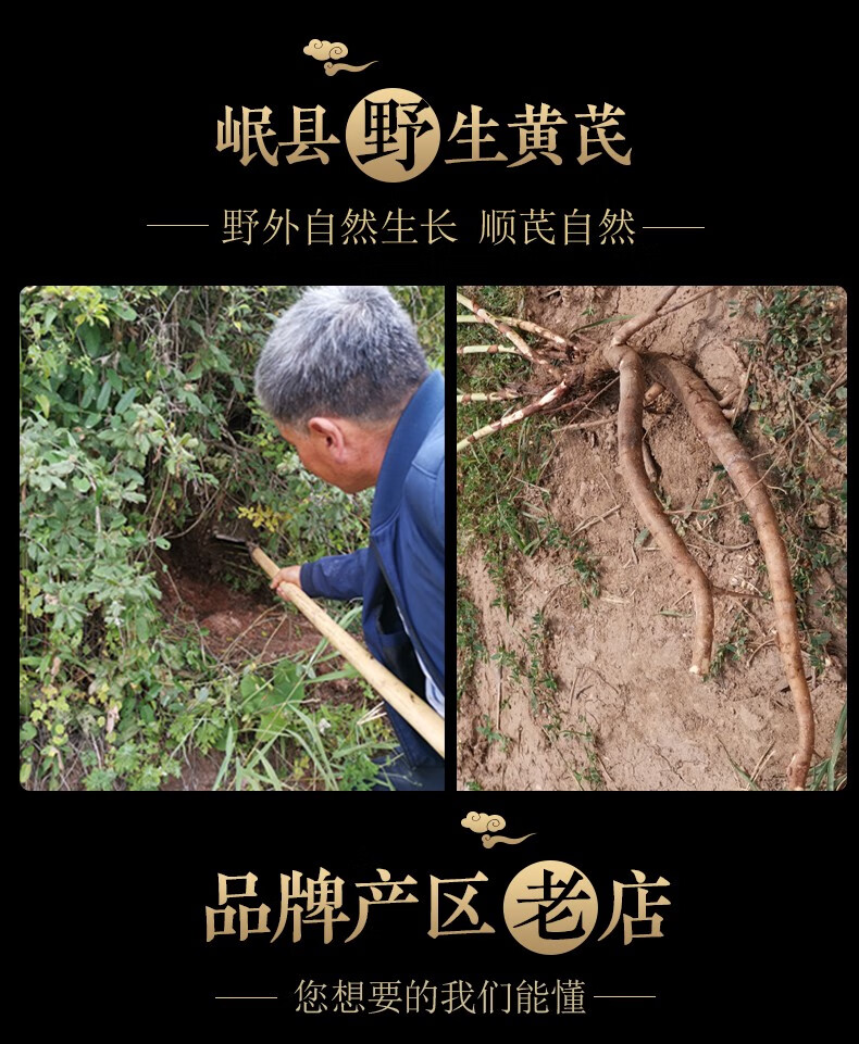 伟博甘肃北芪黄芪野生黄芪整根中野生500克当归推荐