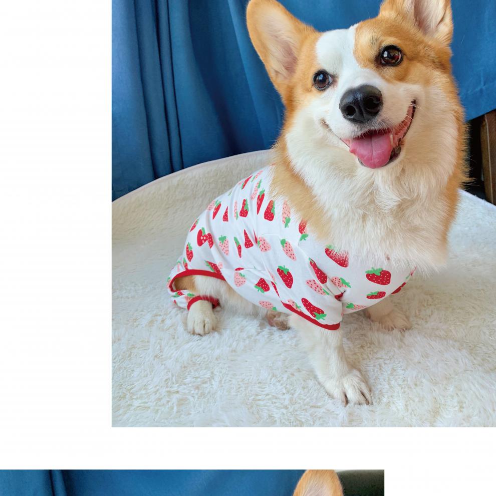 狗狗四脚衣可爱秋冬柯基衣服纯棉宠物服饰保暖防凉睡衣防掉毛红色小