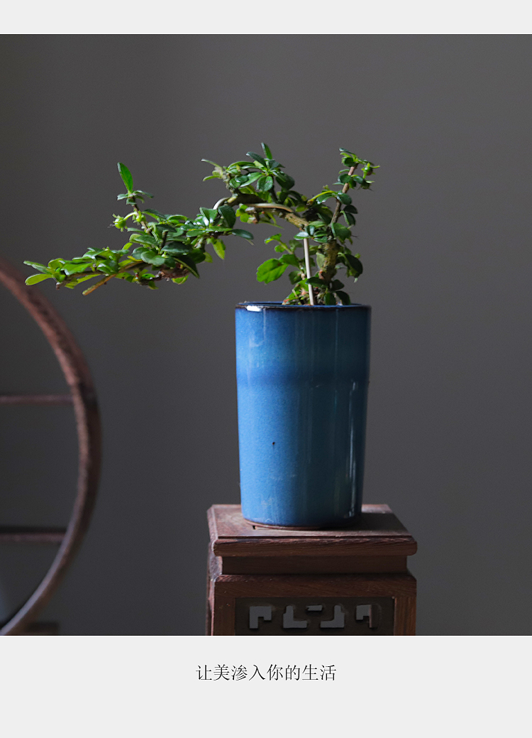 蓝釉瓶小叶福建茶开花结果室内绿植物盆栽办公室客厅净化空气盆景蓝釉
