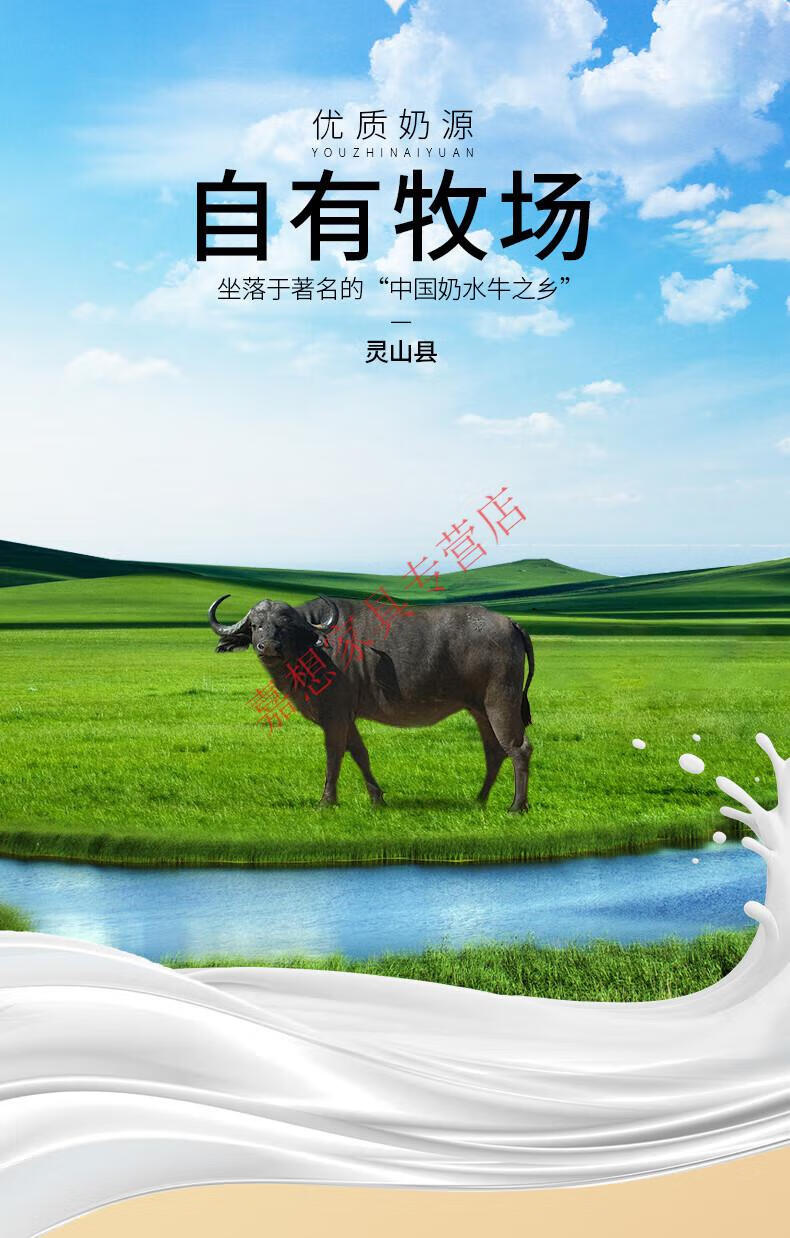 百菲酪 水牛奶200ml*12盒*2箱广西水牛奶学生营养早餐水牛奶 _100生水