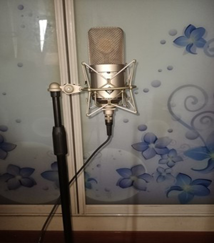 圆盘落地支架话筒适用麦克风铁三角麦架悬壁式配件 落地支架 防震架