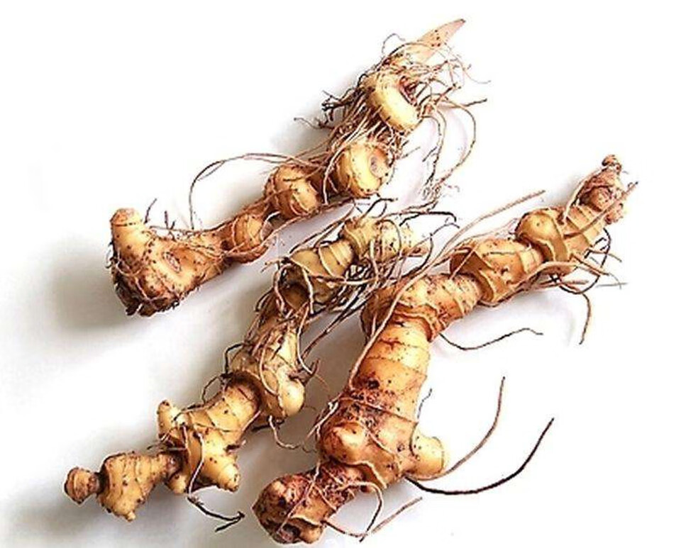 黄精250g/500g 神农架纯鸡头黄精养生中药材制泡酒料