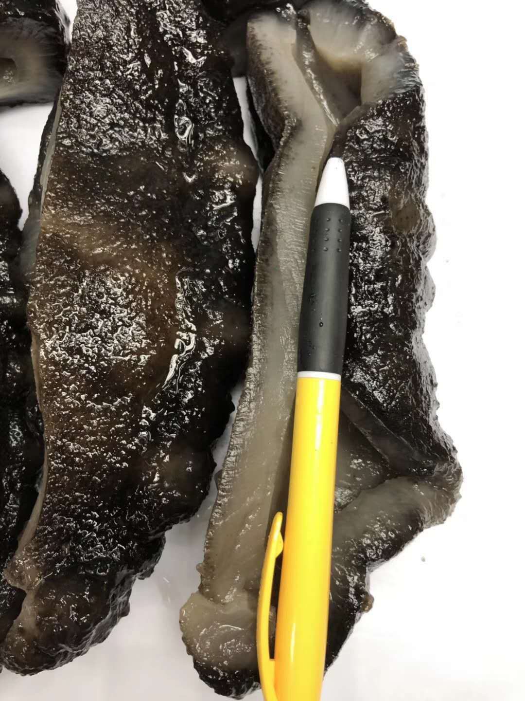 淡干足干海参猪婆黑肉参3到10个一斤个头大肉厚白肉参10到25个一斤