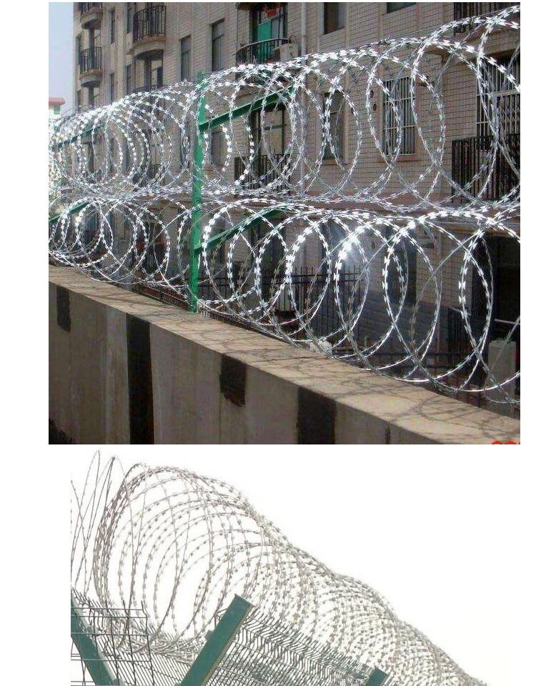 绳防盗镀锌刺丝滚笼防护围墙刺铁丝网蒺藜围栏钢丝立柱 刺绳1米【图片