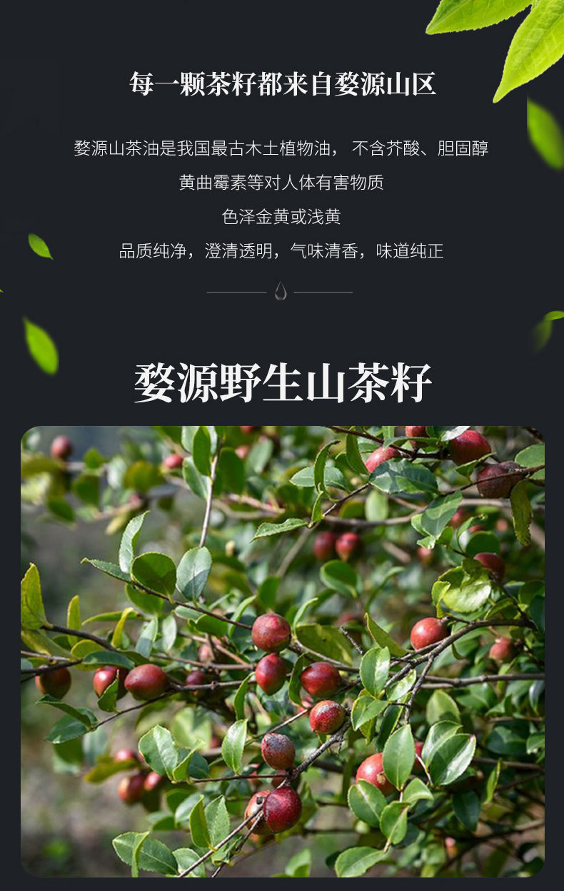 纯正山茶油江西野生茶籽油农家压榨高山茶油茶树油茶子油食用油 【丨o