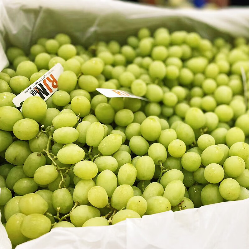 现货澳洲进口秋天酥甜地球无籽青提葡萄新鲜水果提子青葡萄2斤