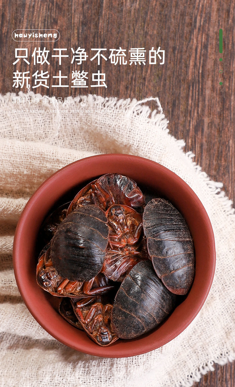 土元中药材中药土鳖虫土元虫土元干地鳖虫中草药土鳖虫粉 土鳖虫50g