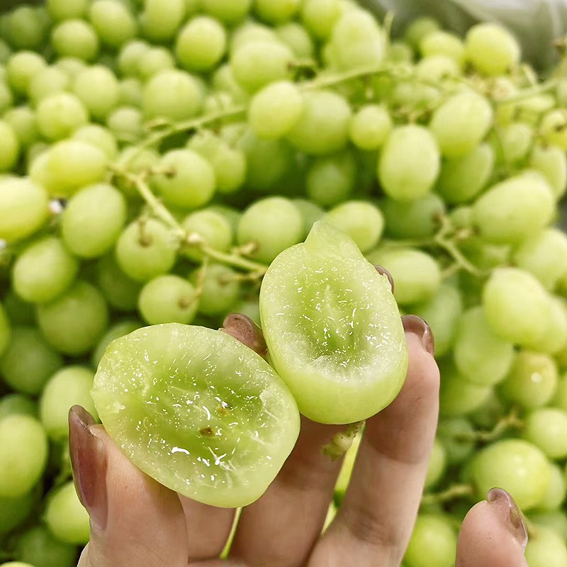 现货澳洲进口秋天酥甜地球无籽青提葡萄新鲜水果提子青葡萄2斤