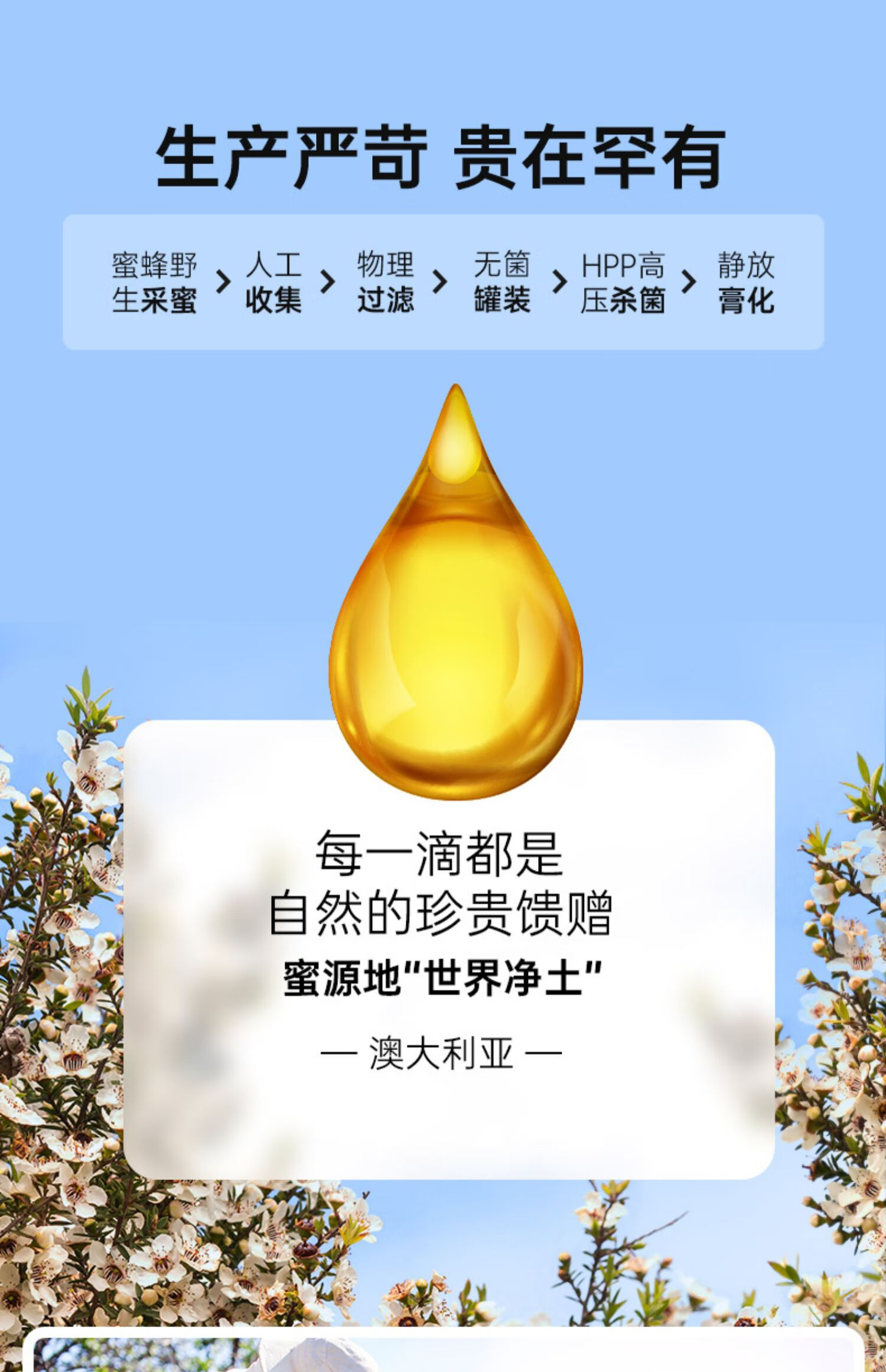 北京同仁堂原料澳洲麦卢卡蜂蜜15十纯正天然卢卡20麦卡卢蜜【严选