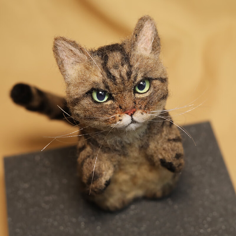 芝易 羊毛毡定制宠物猫咪小狗全身戳戳乐成品仿真玩偶创意礼物 毛毡