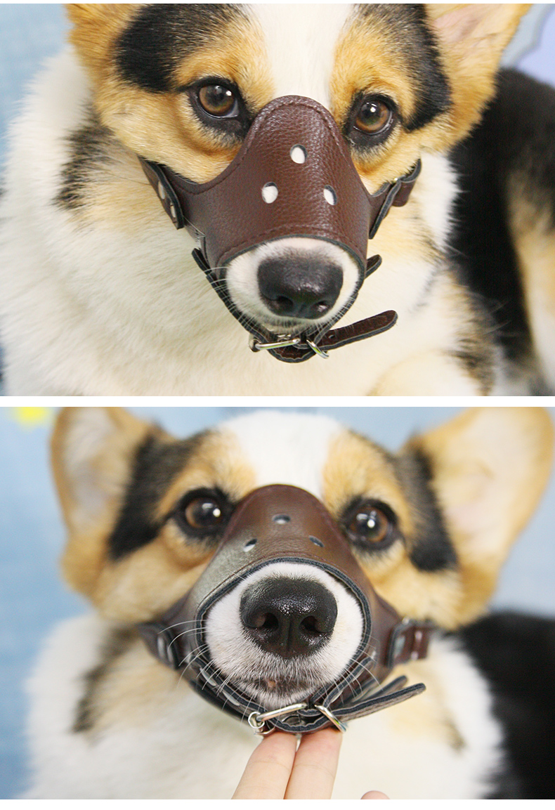 狗狗网状透气嘴套防咬防叫防乱吃止吠器宠物嘴罩大中小型幼犬口罩tx