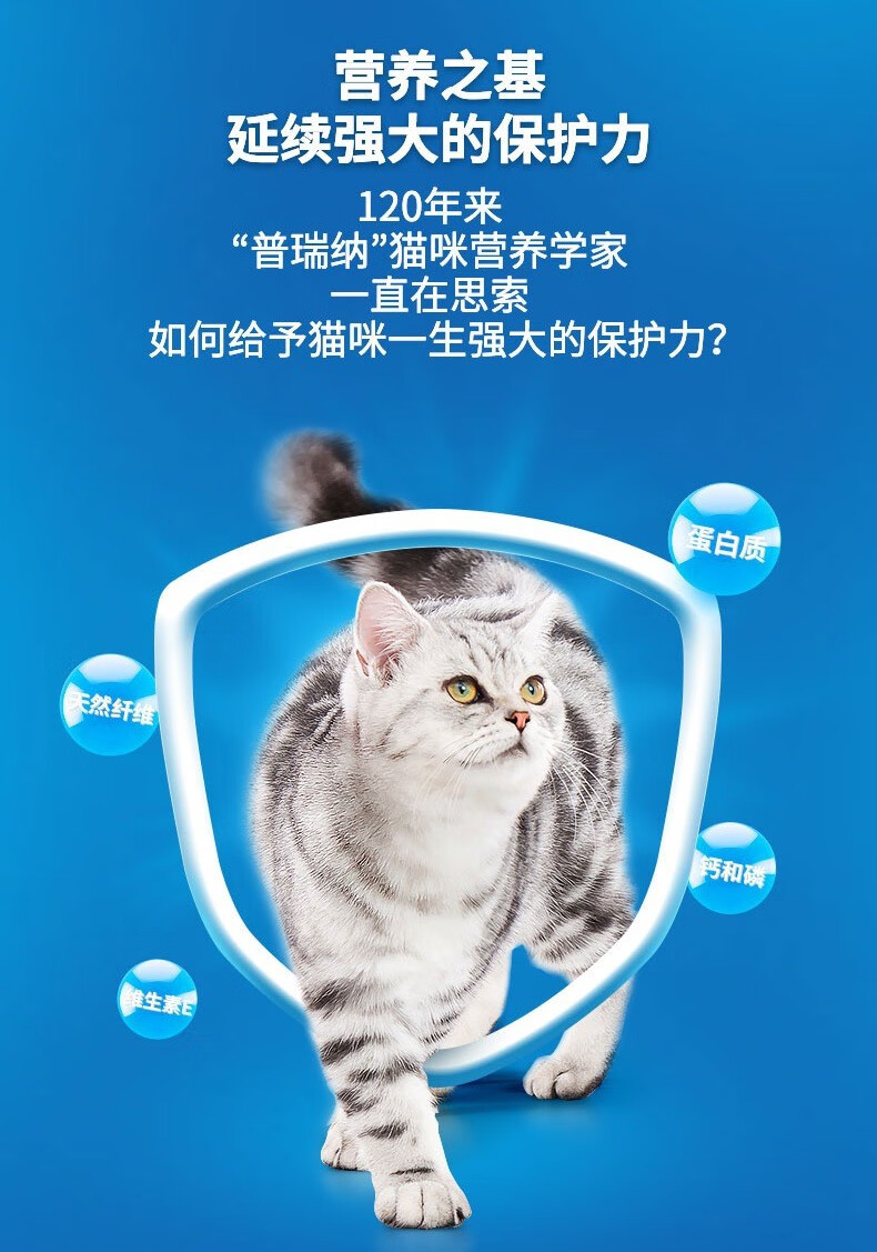 妙多乐kittenchow猫粮幼猫成猫猫粮全价猫粮黄金配比均衡营养幼猫大金