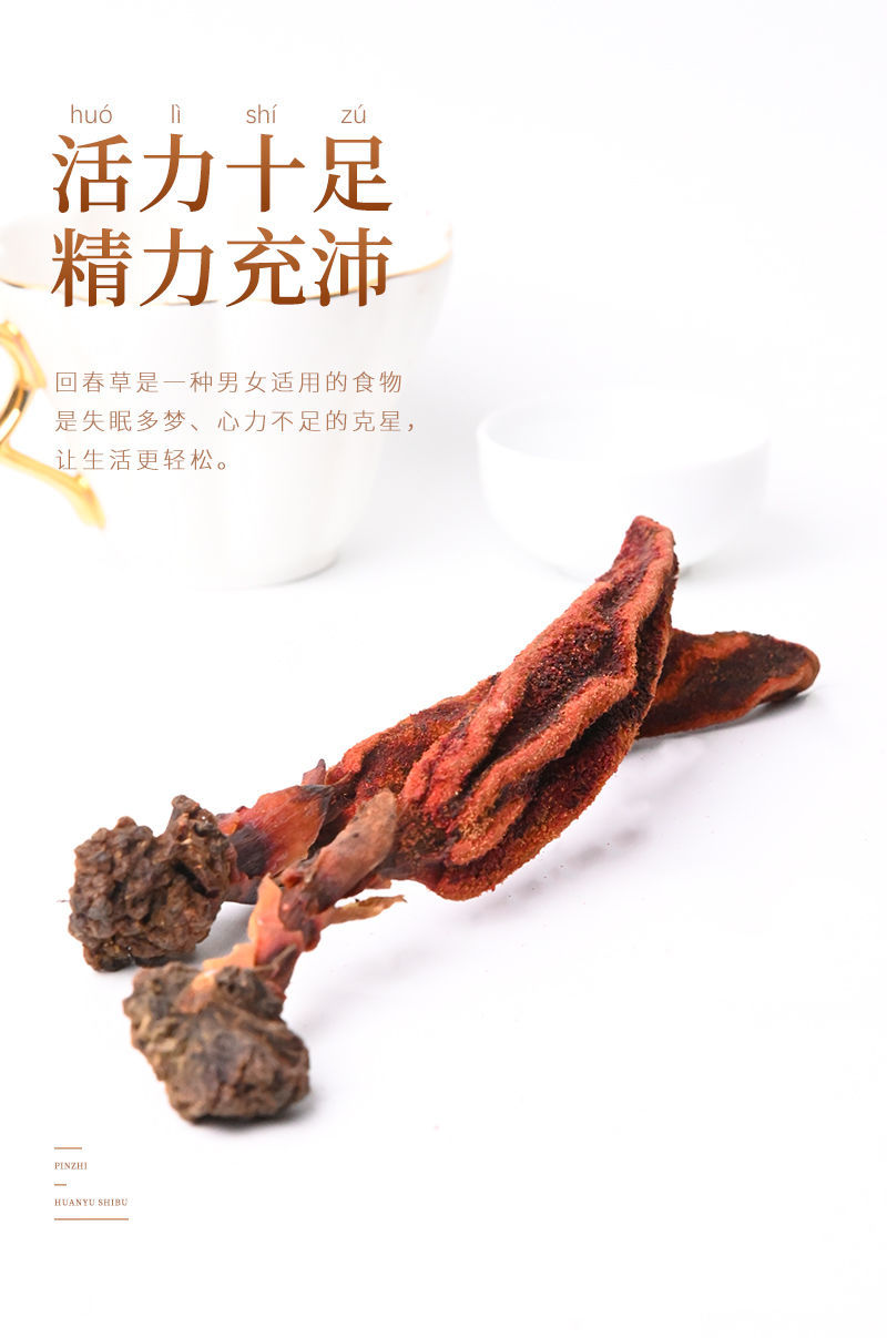 回春草泡水泡酒正宗起阳草顶天柱回村草男性不老草养生中药材100g