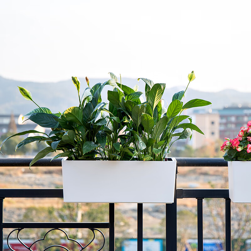 阳台花槽免浇水栏杆悬挂挂式长方形挂架窗台室外花盆盆景盆花箱 藤编