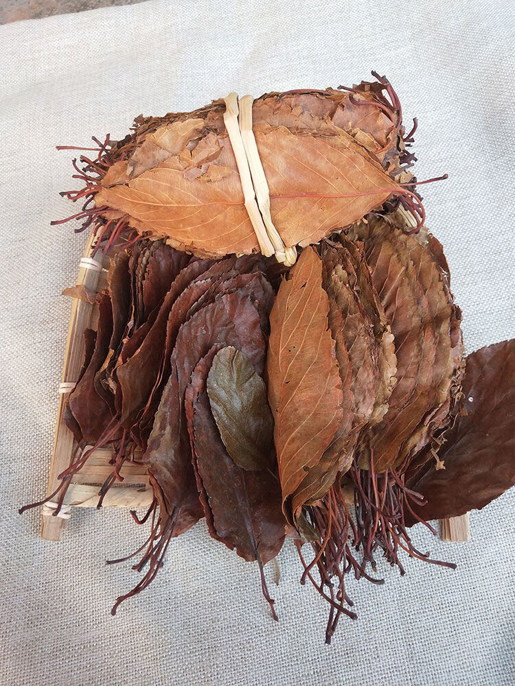 同仁堂材料山楂叶子广西大容山天然特级山楂叶100克中药养生茶泡茶