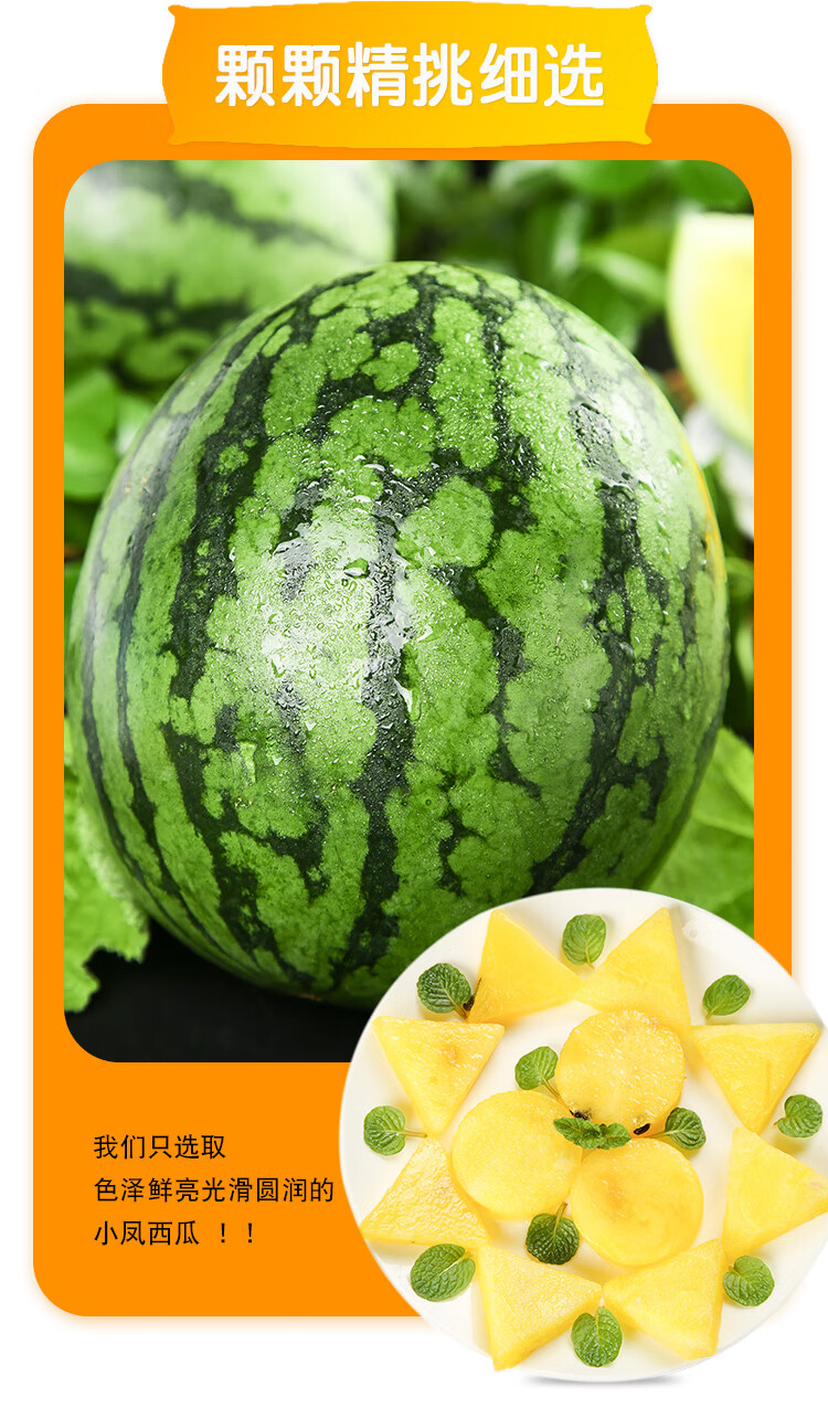 仁风富硒西瓜新鲜水果山东济阳特产仁凤黄瓤小西瓜黄心薄皮脆甜迷你