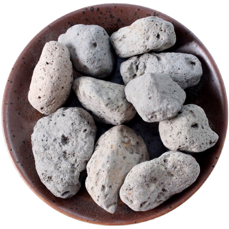 北京同仁堂海浮石药材 正宗药用海浮石 水泡石 浮海石 浮水石 500克