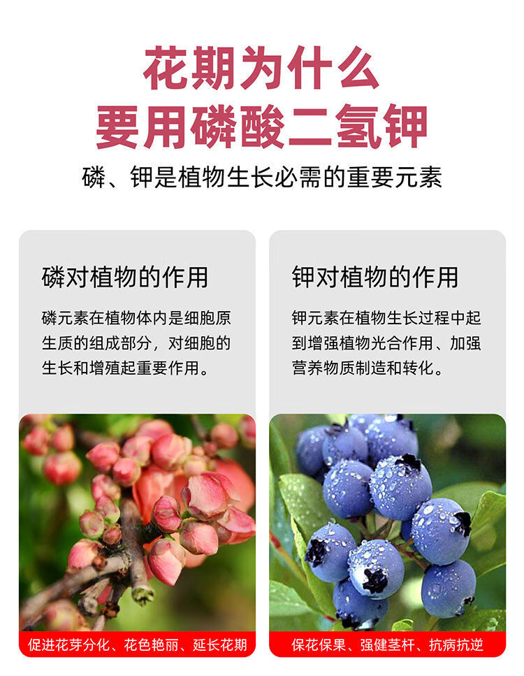 催花专用花肥绿植花卉果树农用叶面肥 嘉际 亚铁400克-1袋【图片 价格