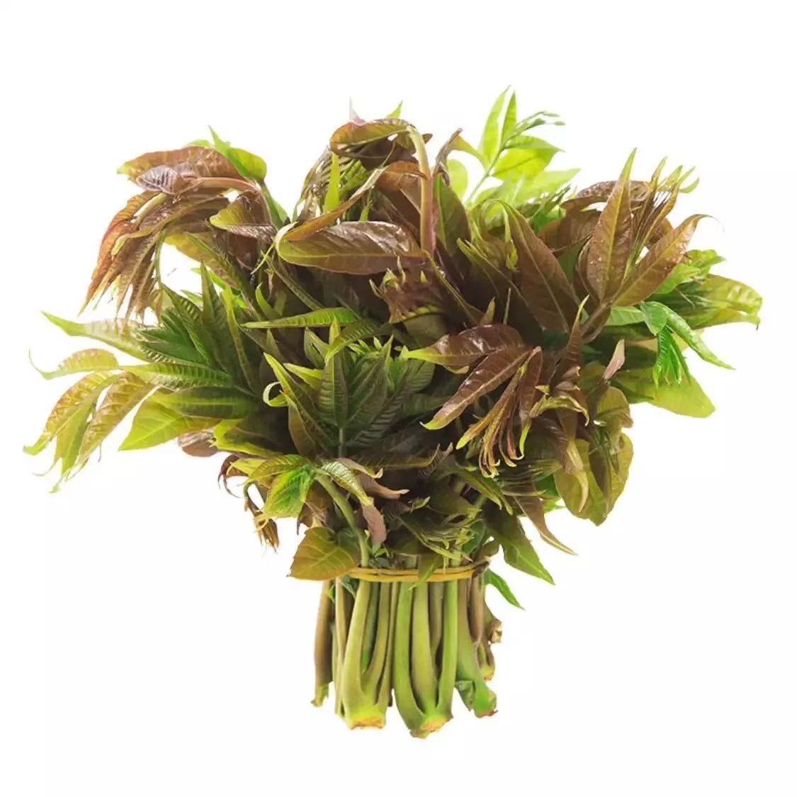 山东头茬香椿芽新鲜蔬菜红芽椿芽菜净菜椿菜香椿头香桩头整箱团建送礼