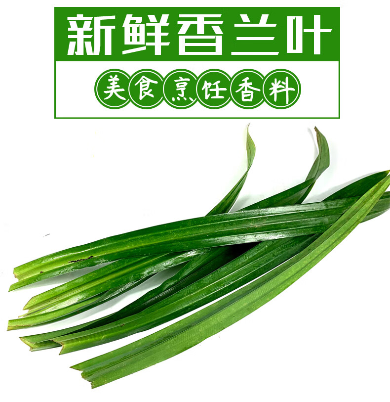 新鲜香兰叶(发)班兰叶可做斑斓千层糕 250【图片 价格 品牌 报价】