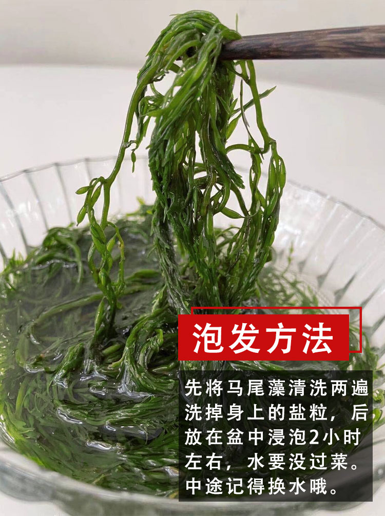 鞭炮笋新鲜海藻羊栖菜火锅菜海草5斤长寿菜出口级盐渍荣成马尾藻 2500