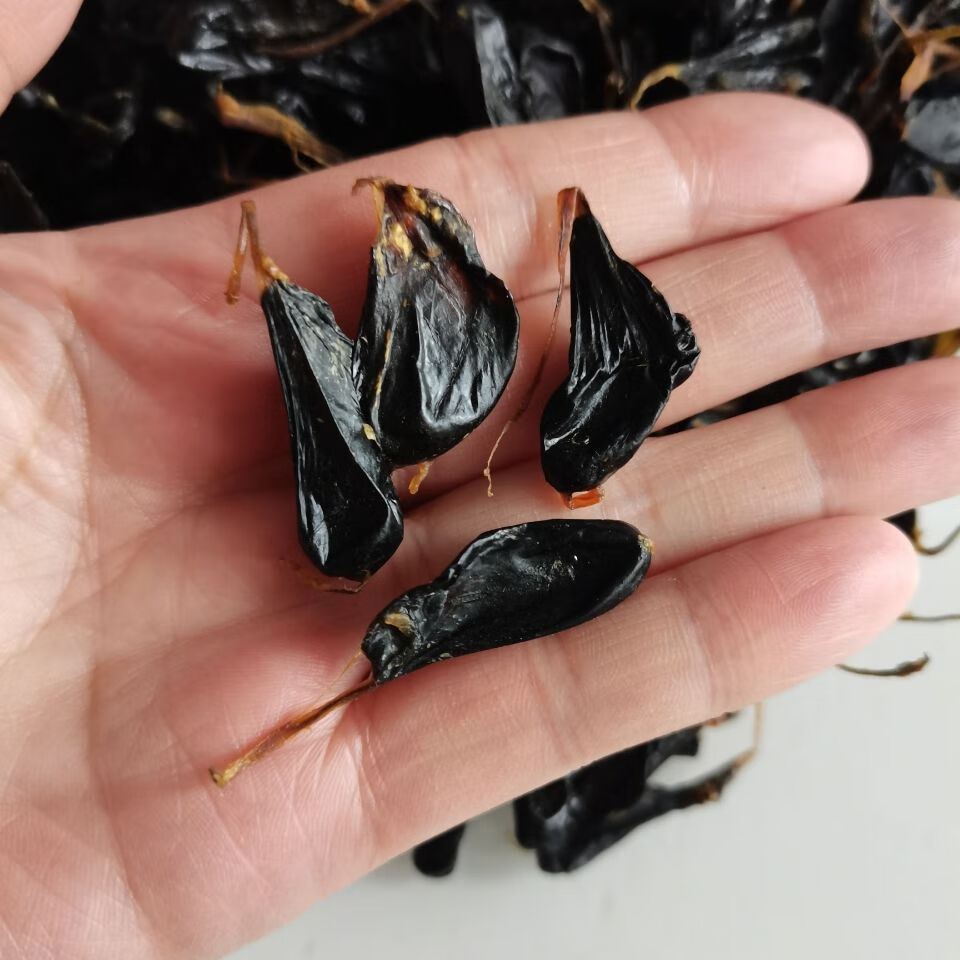 眼睛蛇胆中10粒装 药材五步蛇胆干 粒装 武夷山蛇胆干 正宗蛇胆 10粒