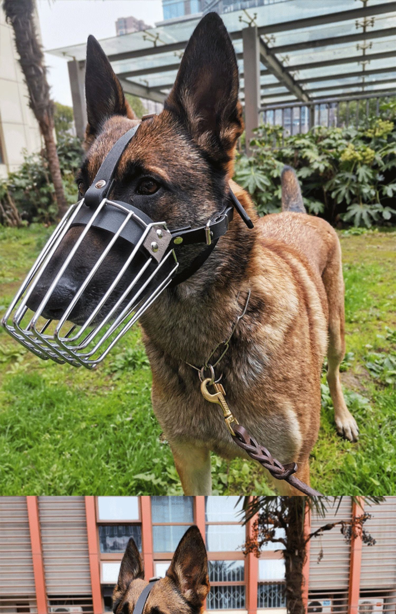 hkpz狗马犬德牧昆明狼狗专用嘴套口笼防咬防乱吃大型犬嘴罩不锈钢口罩