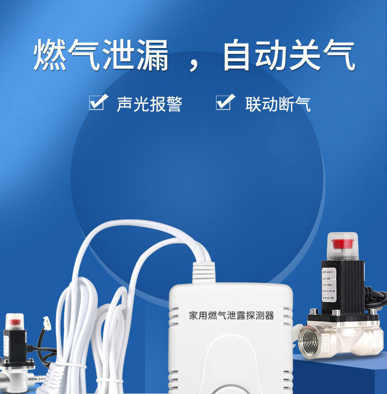 燃气报警器自动切断家用厨房泄漏天然气煤气电磁阀液化气切断阀门 g20