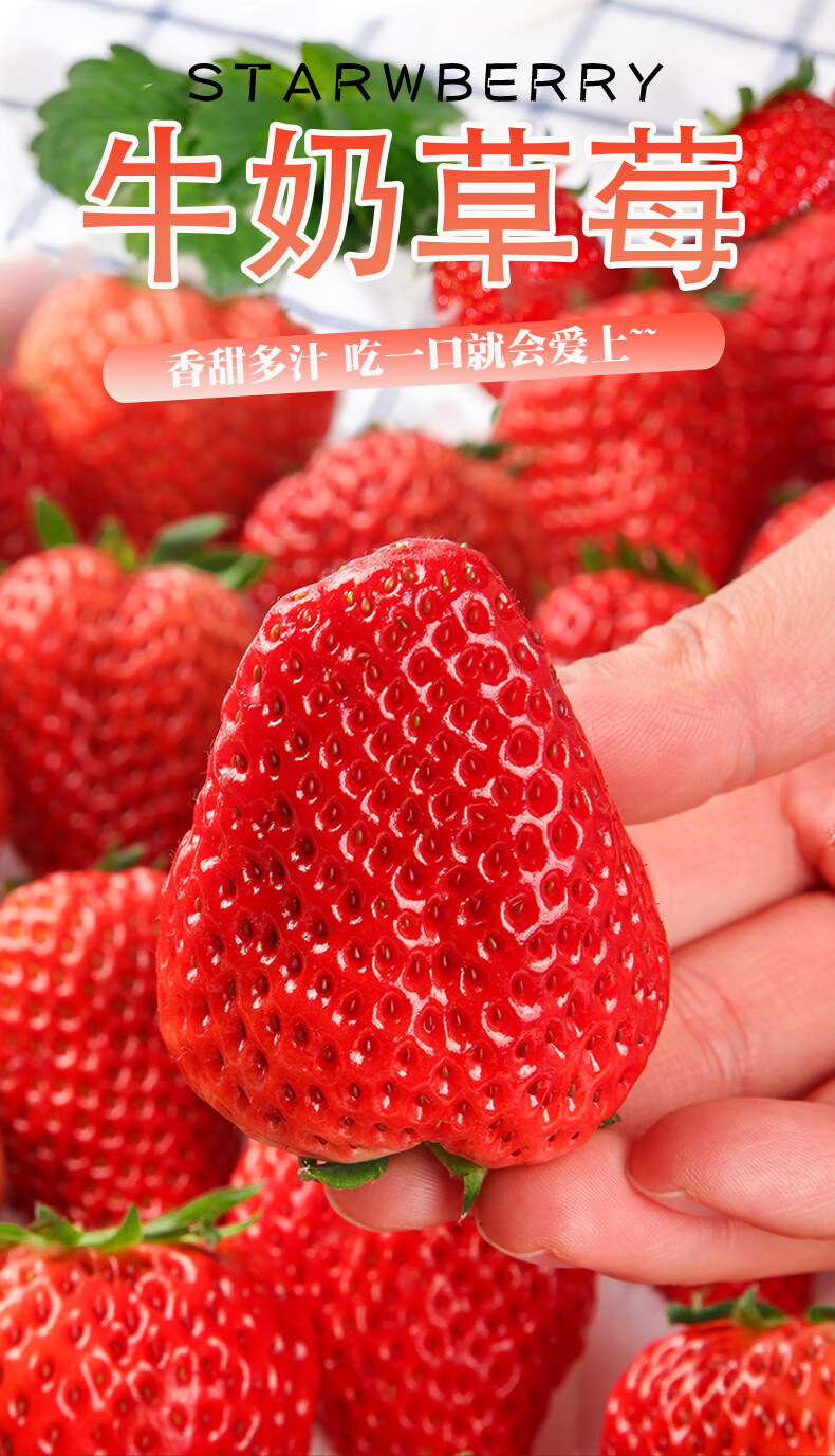 顺丰空运丹东99草莓现摘现发红颜久久牛奶草莓精选大果送人送礼精选
