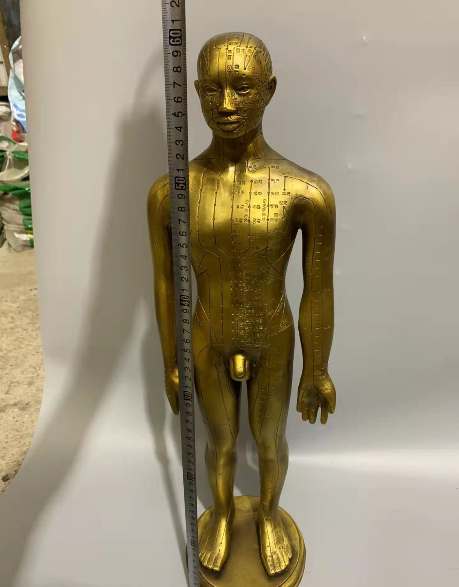 纯铜穴位人针灸人体男女模型铜人艾灸经络图中医药王医馆展示摆件黄铜