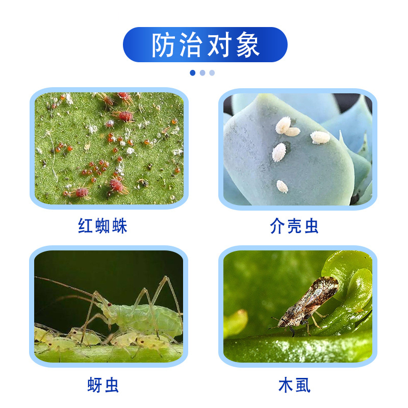 侨昌侨星15阿维菌素螺虫乙酯柑橘树红蜘蛛农药杀虫剂植轻松100g100g