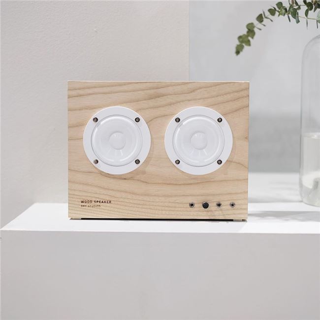 ccaspeaker音响北欧现货瑞典进口transparent透明蓝牙低音炮高颜值