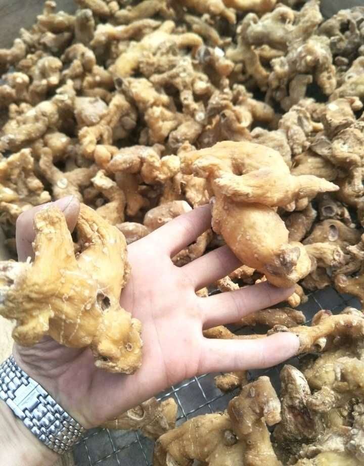 神农架纯黄精鸡头十年生黄精中药材批发无硫自然晒干 九蒸九晒干黄精1