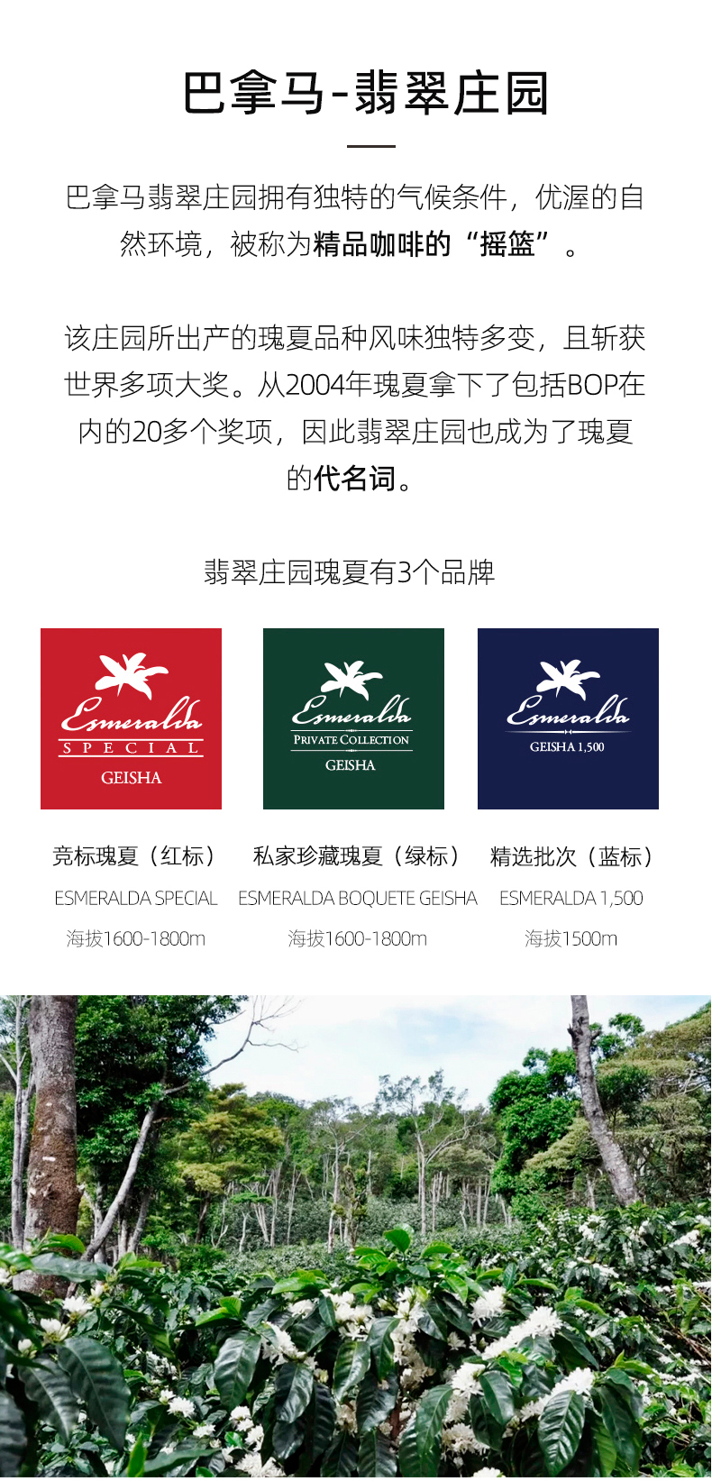 意优咖啡巴拿马瑰夏咖啡豆翡翠庄园精品手冲咖啡新鲜烘焙冷萃冰滴咖啡