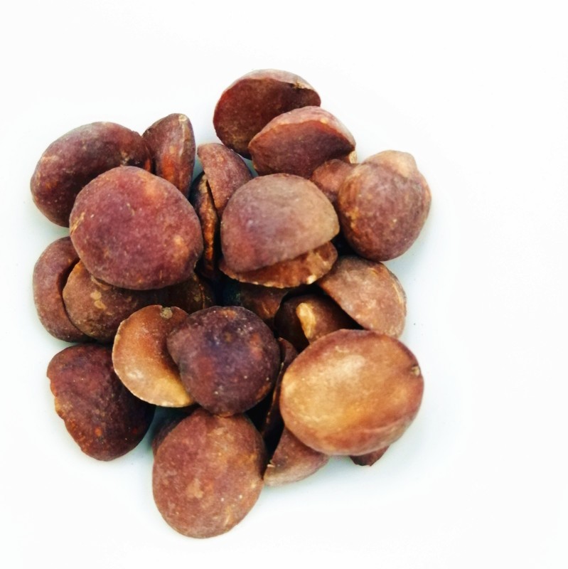 中药材 枇杷籽 枇杷子 琵琶子 枇杷果 枇杷核新货无硫 500克 图片色