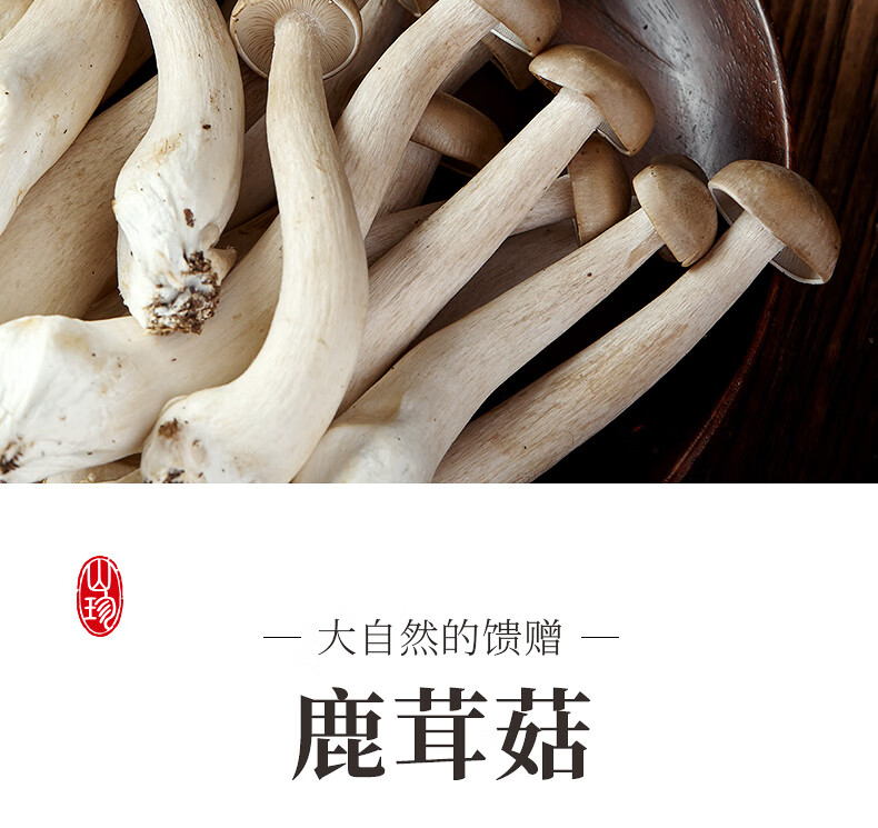 【东莞道滘馆】新鲜云南菌菇鲜鹿茸菌蘑菇食用菌煲汤食材菇类菌子菌类