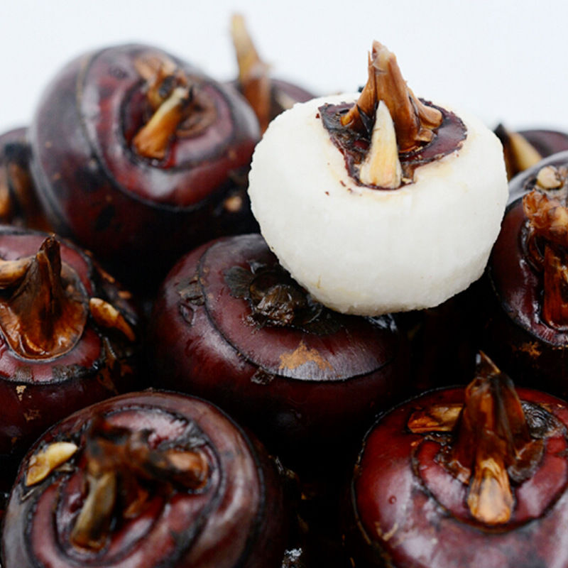 新鲜湖北马蹄荸荠水果蔬菜大地栗地梨现挖带泥红马蹄果3510斤5斤装