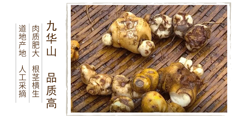 九华山黄精500g新鲜中药材食用生黄精泡茶水人参牡蛎覆盆子